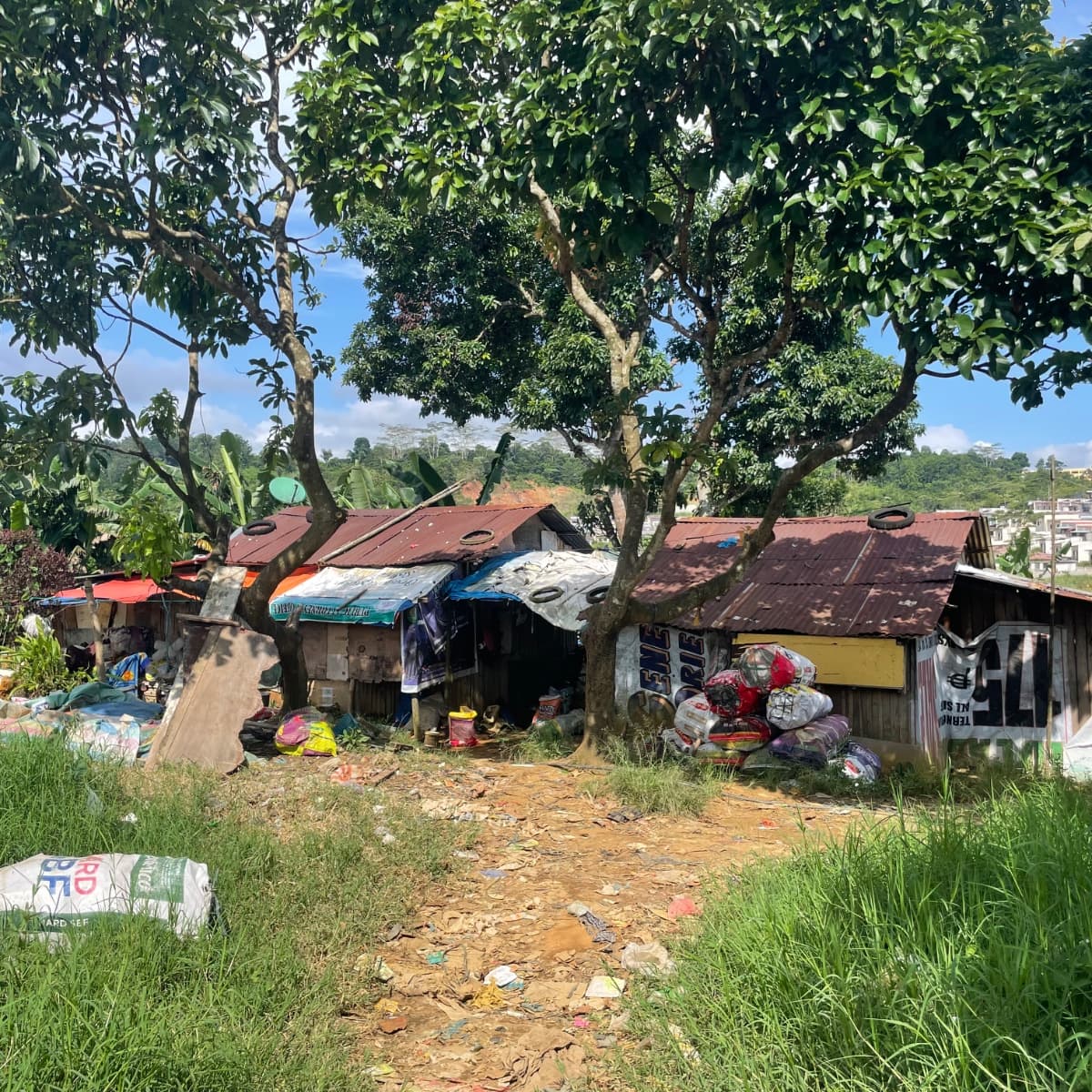 Barangay Papandayan with grown trees five years after the relocation dumpsite.